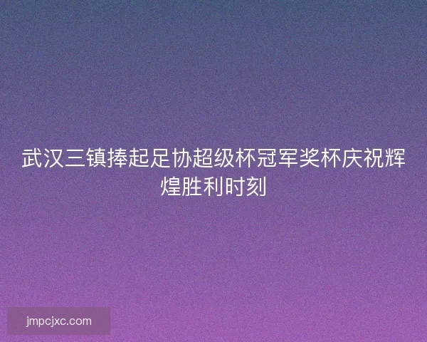 武汉三镇捧起足协超级杯冠军奖杯庆祝辉煌胜利时刻